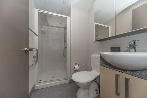 Photo of property in Dual Apartments, 108/142u Vivian Street, Te Aro, Wellington, 6011