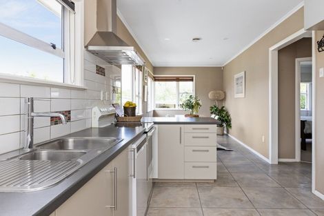 Photo of property in 51 Te Aute Road, Havelock North, 4130