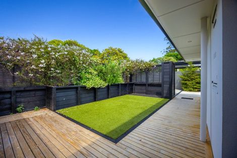 Photo of property in 8 Shelbourne Street, Nelson, 7010