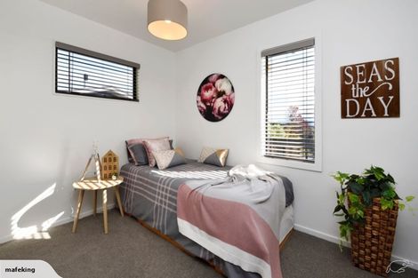 Photo of property in 5 Primrose Place, Richmond, 7020