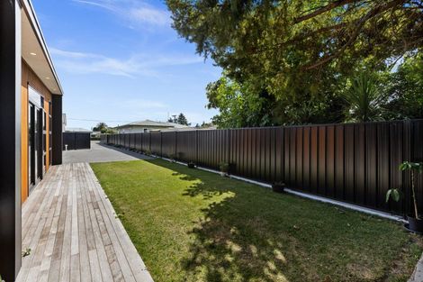 Photo of property in 313a Karaitiana Street, Frimley, Hastings, 4120