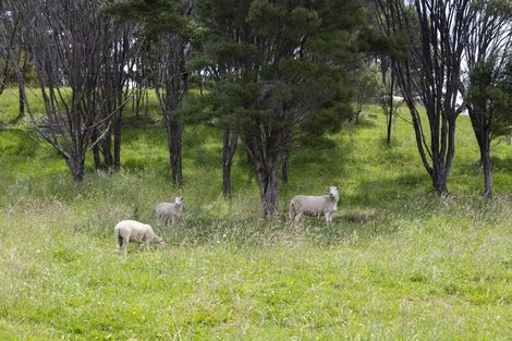 Photo of property in 1214 Oruru Road, Peria, Kaitaia, 0482