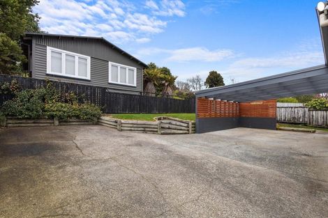 Photo of property in 251 Goodfellow Street, Te Awamutu, 3800