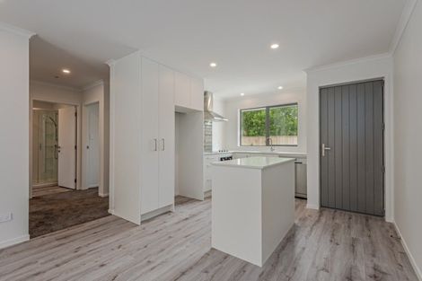 Photo of property in 30b Duke Street, Levin, 5510