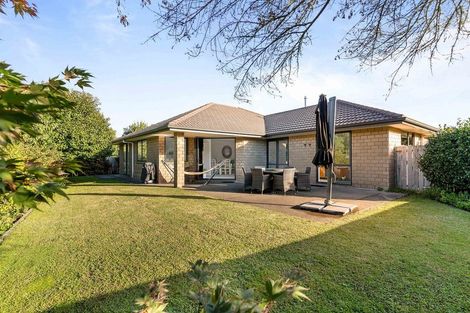 Photo of property in 763 White Pine Bush Road, White Pine Bush, Whakatane, 3191