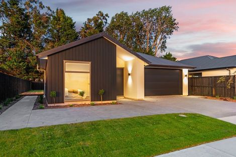 Photo of property in 69 Henshaw Street, Woodend, 7610