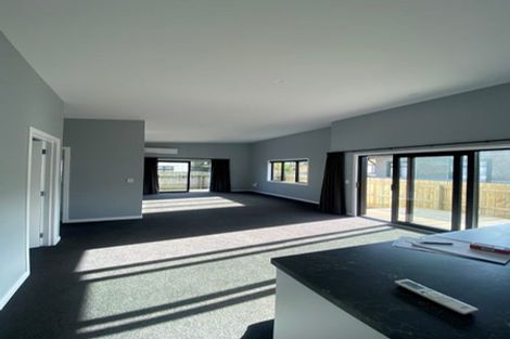 Photo of property in 23a Manson Street, Terrace End, Palmerston North, 4410