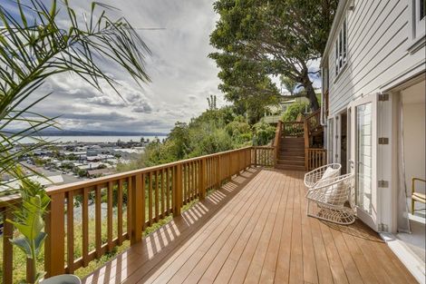 Photo of property in 5 Denholm Road, Hospital Hill, Napier, 4110