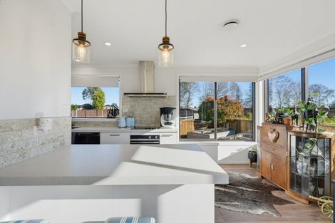 Photo of property in 282 Island Road, Kaiapoi, 7630