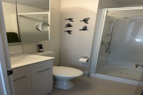Photo of property in Dual Apartments, 108/142u Vivian Street, Te Aro, Wellington, 6011
