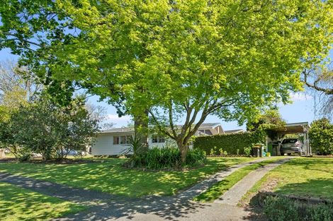 Photo of property in 4 Lindale Street, Morrinsville, 3300