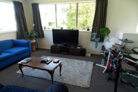 Photo of property in 127u1 Raroa Road, Aro Valley, Wellington, 6012