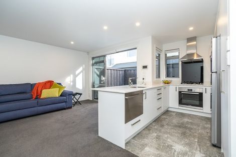Photo of property in 17u2 Manning Street, Hamilton Central, Hamilton, 3204