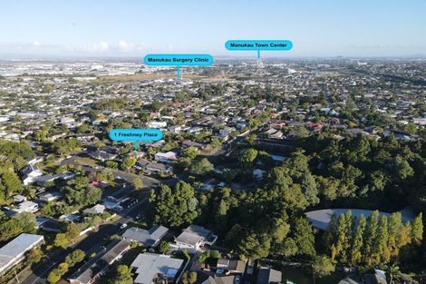 Photo of property in 1 Freshney Place, Hillpark, Auckland, 2102