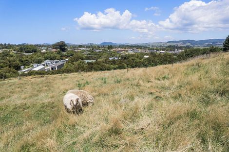 Photo of property in 36a Orchard Road, Waiake, Auckland, 0630