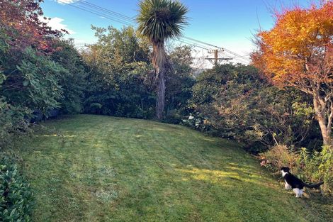 Photo of property in 5 Jessie Street, Maia, Dunedin, 9022