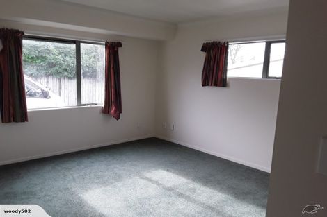 Photo of property in 217 Dey Street, Hamilton East, Hamilton, 3216