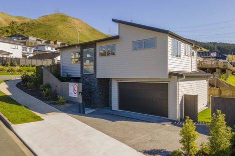 Photo of property in 165 Amesbury Drive, Churton Park, Wellington, 6037