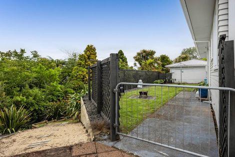 Photo of property in 37 Antonio Street, Stratford, 4332