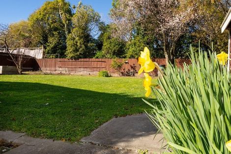 Photo of property in 14a Mckenzie Street, Witherlea, Blenheim, 7201