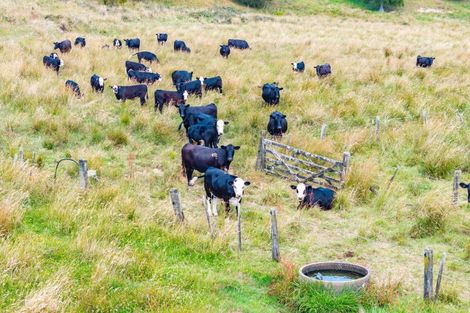Photo of property in 137 Opouteke Road, Kaihu, Dargaville, 0379