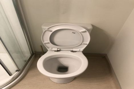 Photo of property in 31 Rugby Street, Mount Cook, Wellington, 6021