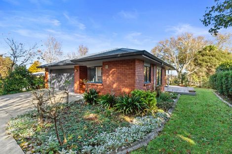 Photo of property in 8a Hikutaia Street, Te Aroha, 3320