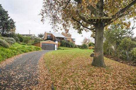 Photo of property in 31 Fraser Drive, Feilding, 4702