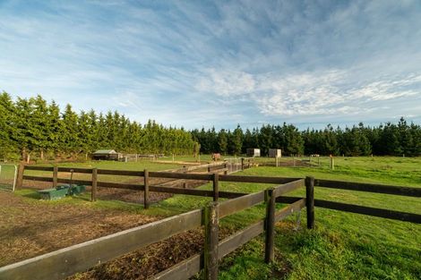 Photo of property in 237 Depot Road, Burnt Hill, Oxford, 7495