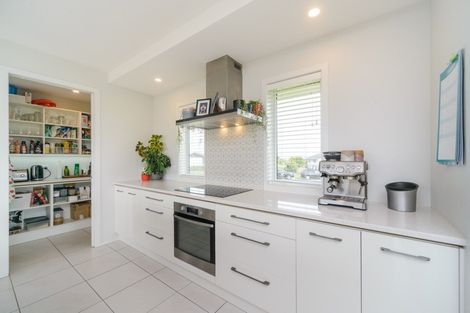 Photo of property in 60 Wapiti Avenue, Feilding, 4775