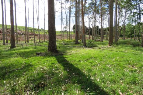 Photo of property in 2770 State Highway 10, Mangonui, 0494