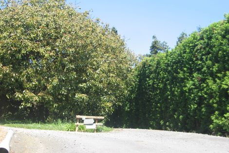 Photo of property in 81 I'anson Road, Minden, Tauranga, 3179