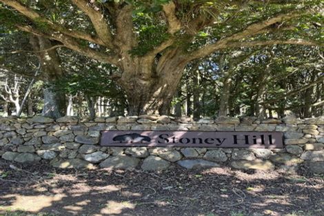 Photo of property in 40 Stoney Hill Road, Te Kamo, 0185