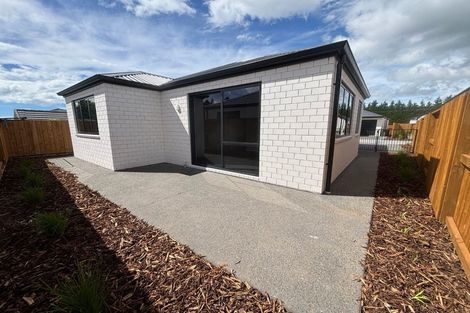 Photo of property in Tetley Road, Katikati, 3178