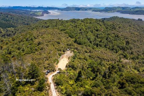 Photo of property in 425 Pakawau-bush Road, Pakawau, Collingwood, 7073