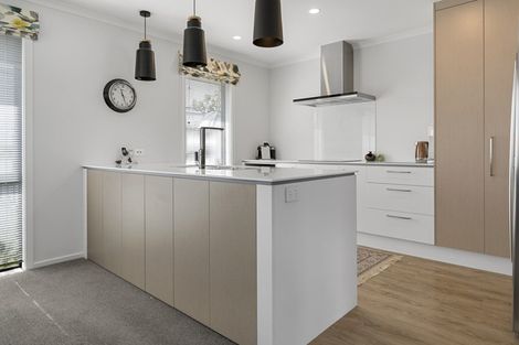 Photo of property in 13 Mellifera Place, Richmond, 7020