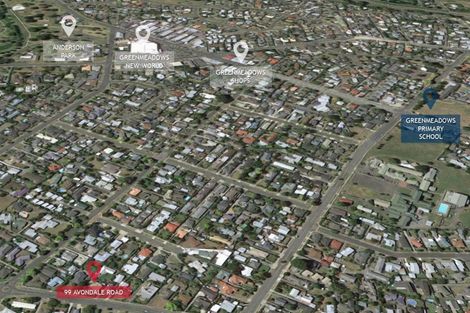 Photo of property in 99 Avondale Road, Greenmeadows, Napier, 4112