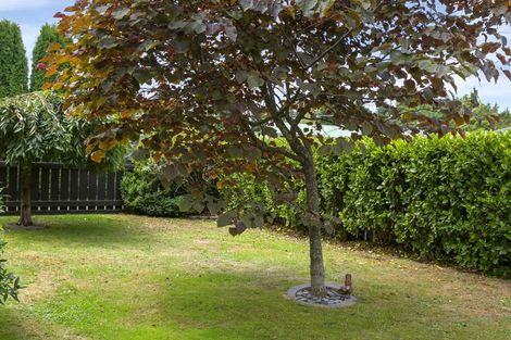 Photo of property in 20 Puia Street, Tauhara, Taupo, 3330