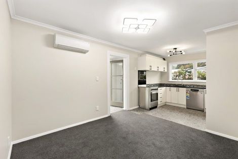 Photo of property in 125 Richmond Street, Petone, Lower Hutt, 5012