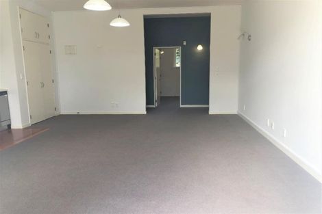 Photo of property in 207 Tasman Street, Mount Cook, Wellington, 6021