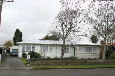 Photo of property in 31 Green Avenue, Levin, 5510