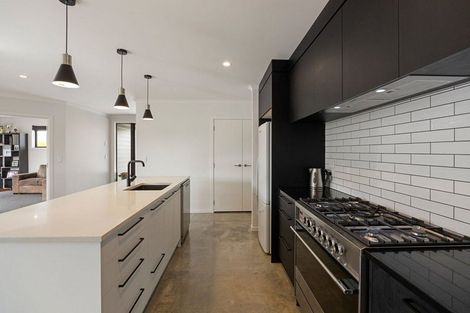 Photo of property in 17 Kereruu Street, Cambridge, 3434