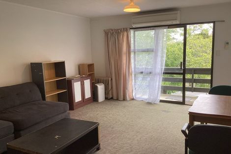 Photo of property in 93 Queen Street, North Dunedin, Dunedin, 9016