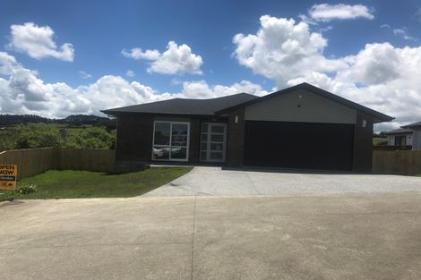 Photo of property in 21 Hua Place, Tuakau, 2121