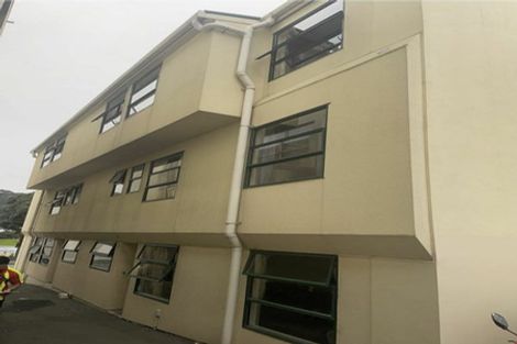 Photo of property in Te Awhina Apartments, 22u2 Sussex Street, Mount Cook, Wellington, 6021