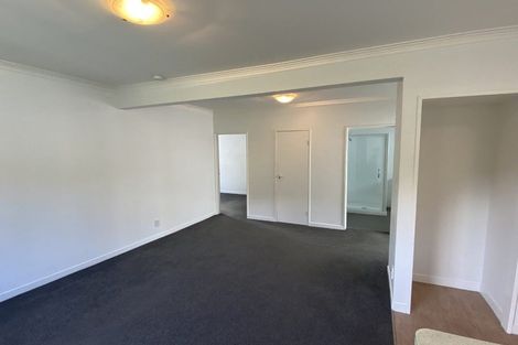 Photo of property in 160 Hanson Street, Newtown, Wellington, 6021