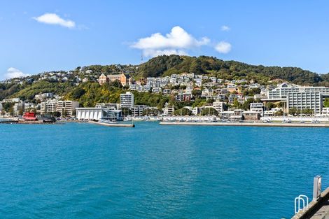 Photo of property in Clyde Quay Wharf, 1a/7 Clyde Quay Wharf, Te Aro, Wellington, 6011