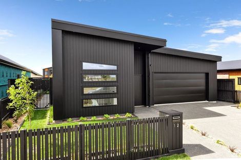 Photo of property in 12 Halley Drive, Chartwell, 3210