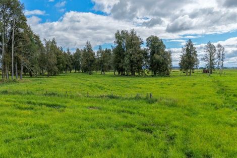 Photo of property in 111 Piako Road, Turua, Thames, 3574