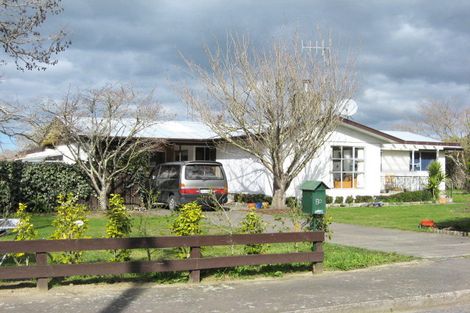 Photo of property in 20 Johnson Street, Waipawa, 4210